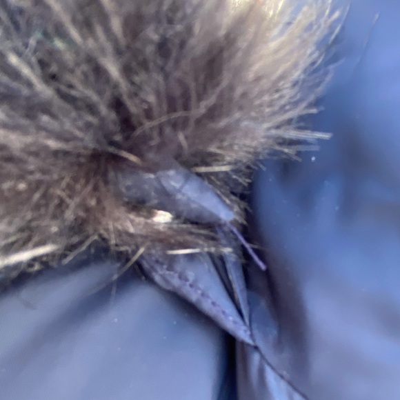 Tommy Hilfiger Winter Coat - Picture 9 of 13